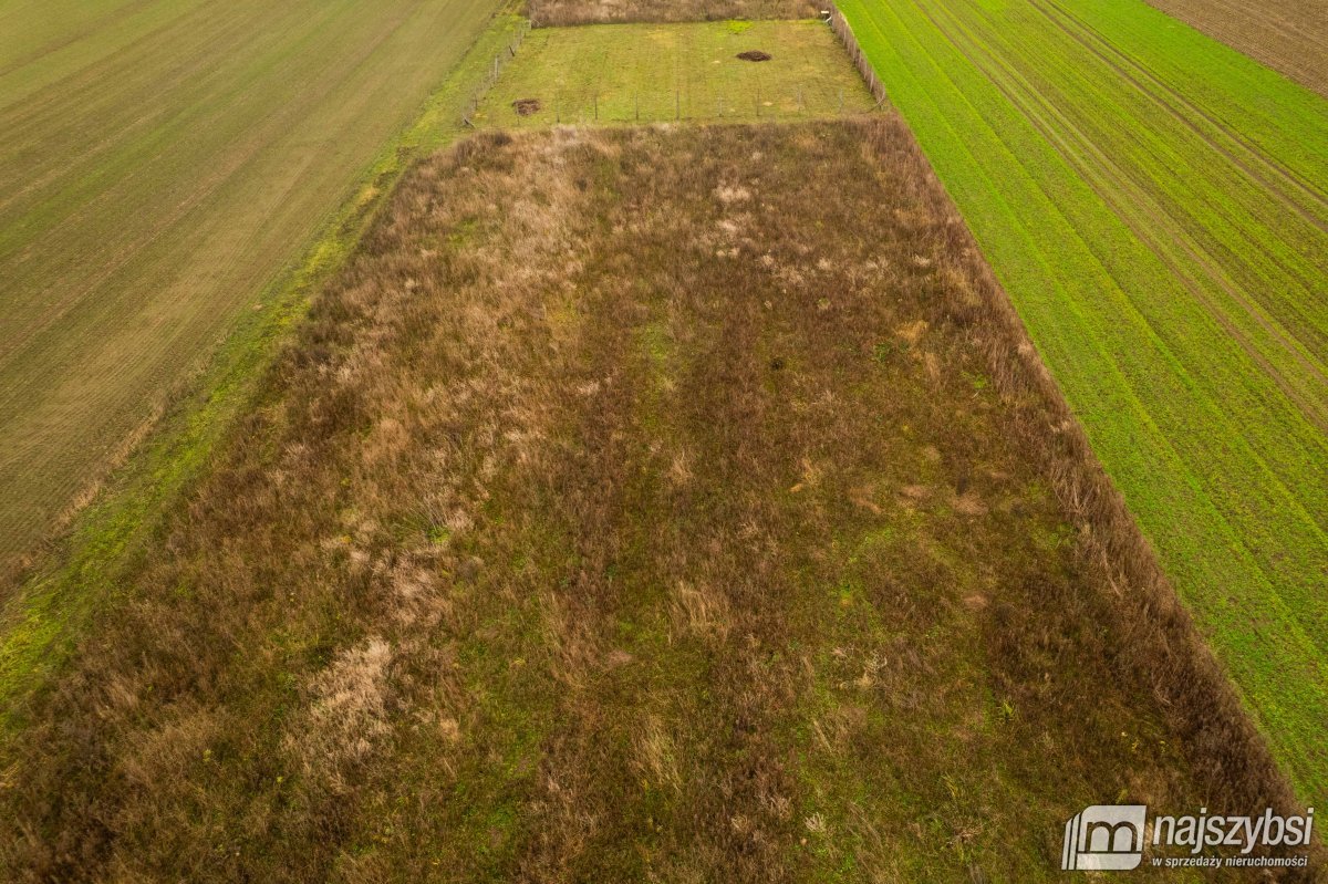 MAŁKOCIN - działka z warunkami zabudowy! (10)