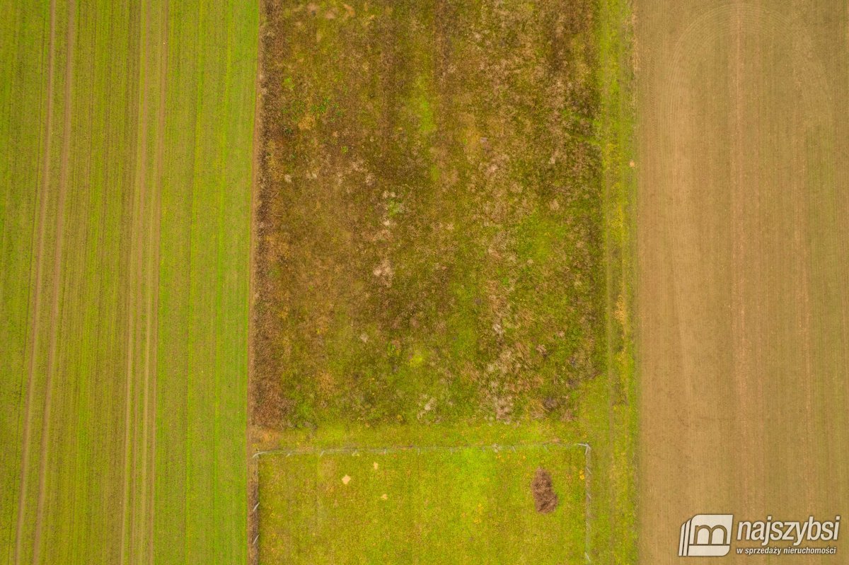 MAŁKOCIN - działka z warunkami zabudowy! (6)