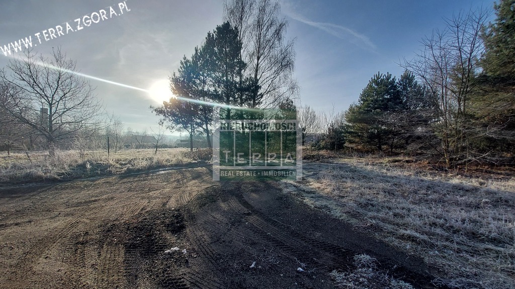 DZIAŁKA INWESTYCYJNA (9)