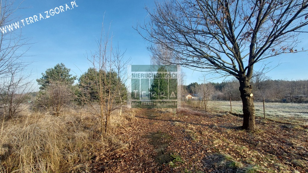 DZIAŁKA INWESTYCYJNA (4)