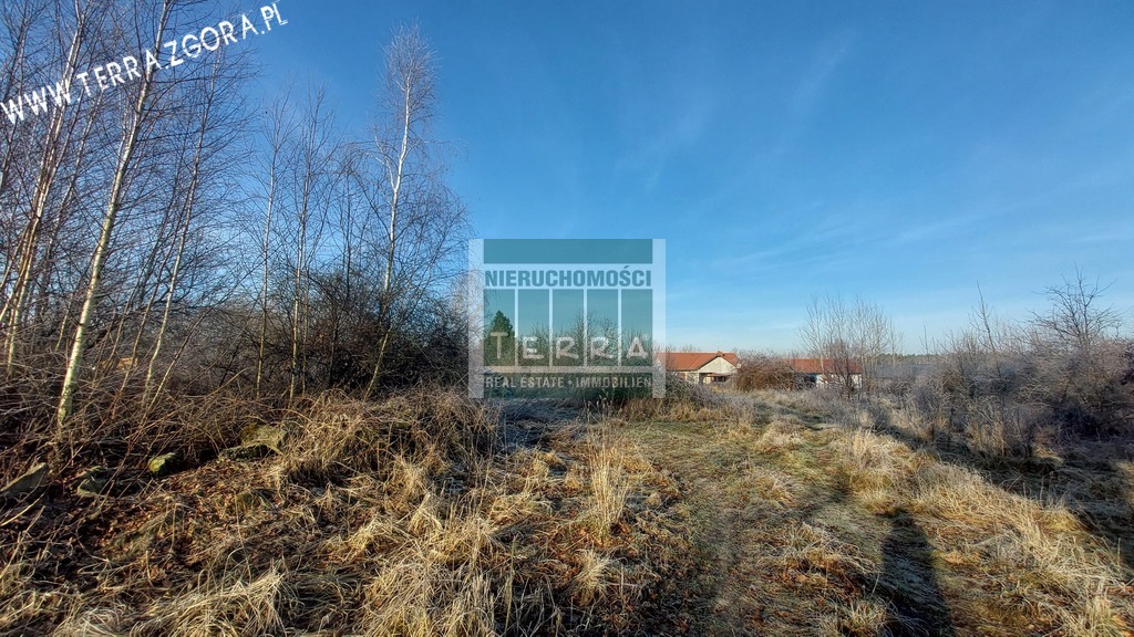 DZIAŁKA INWESTYCYJNA (12)