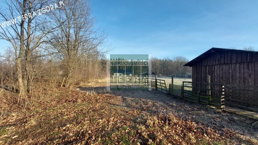 DZIAŁKA INWESTYCYJNA (6)