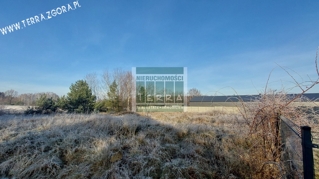 DZIAŁKA INWESTYCYJNA (13)