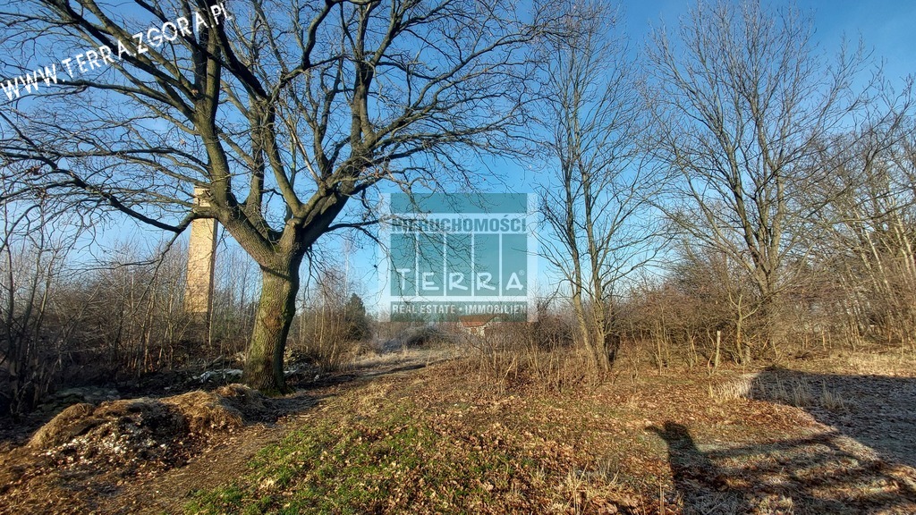 DZIAŁKA INWESTYCYJNA (5)