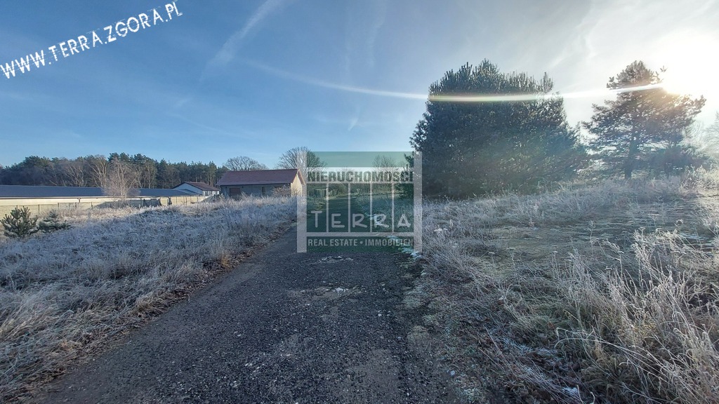 DZIAŁKA INWESTYCYJNA (16)