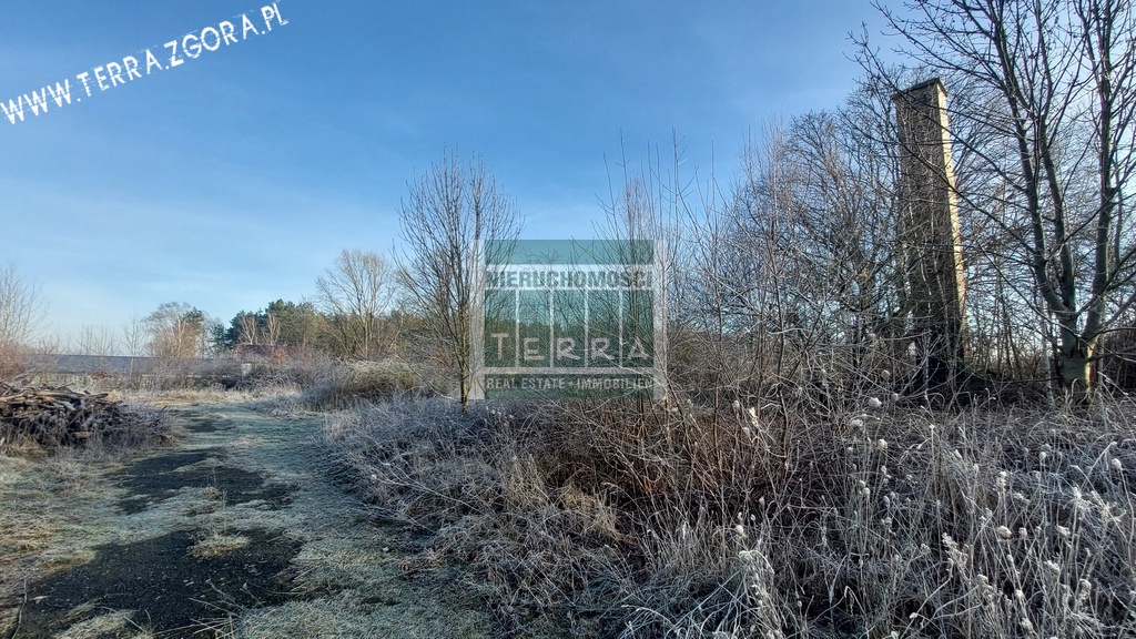 DZIAŁKA INWESTYCYJNA (8)