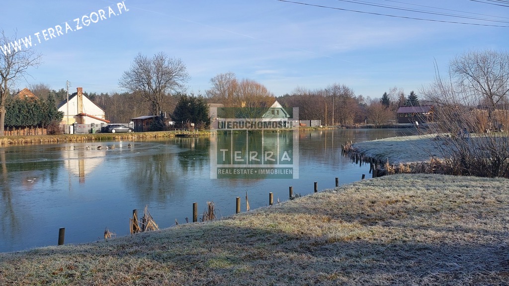 DZIAŁKA INWESTYCYJNA (19)