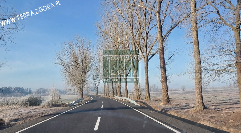 DZIAŁKA INWESTYCYJNA (20)