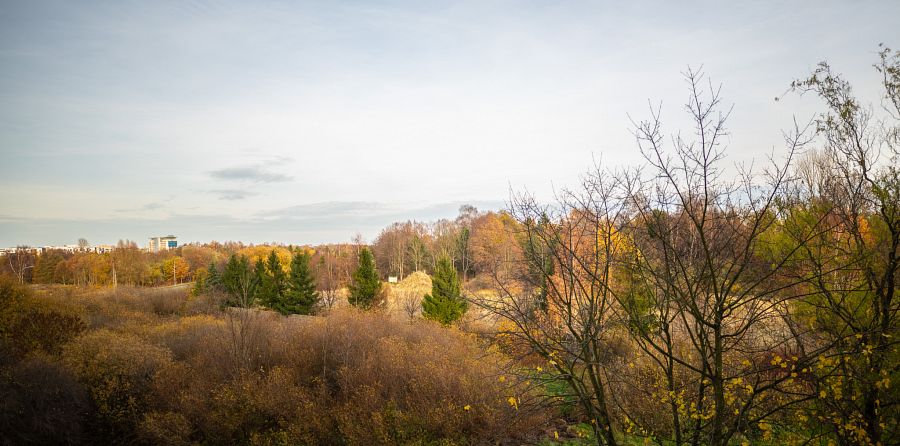 przestronne trzy pokojowe (9)