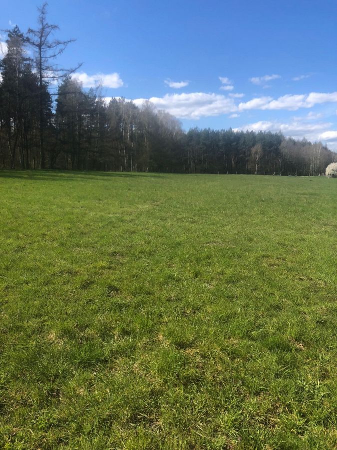 działka z warunkami zabudowy 4 domy (4)