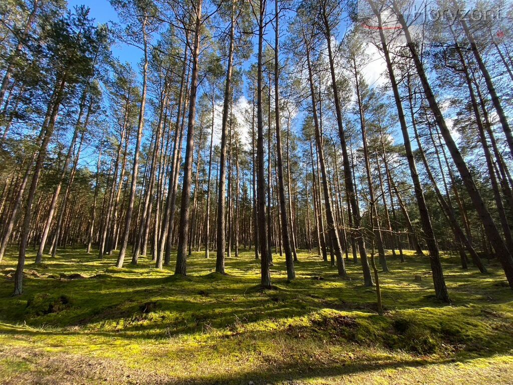 Duży Apartament w Łukęcinie SUPER wynajmowany! (18)