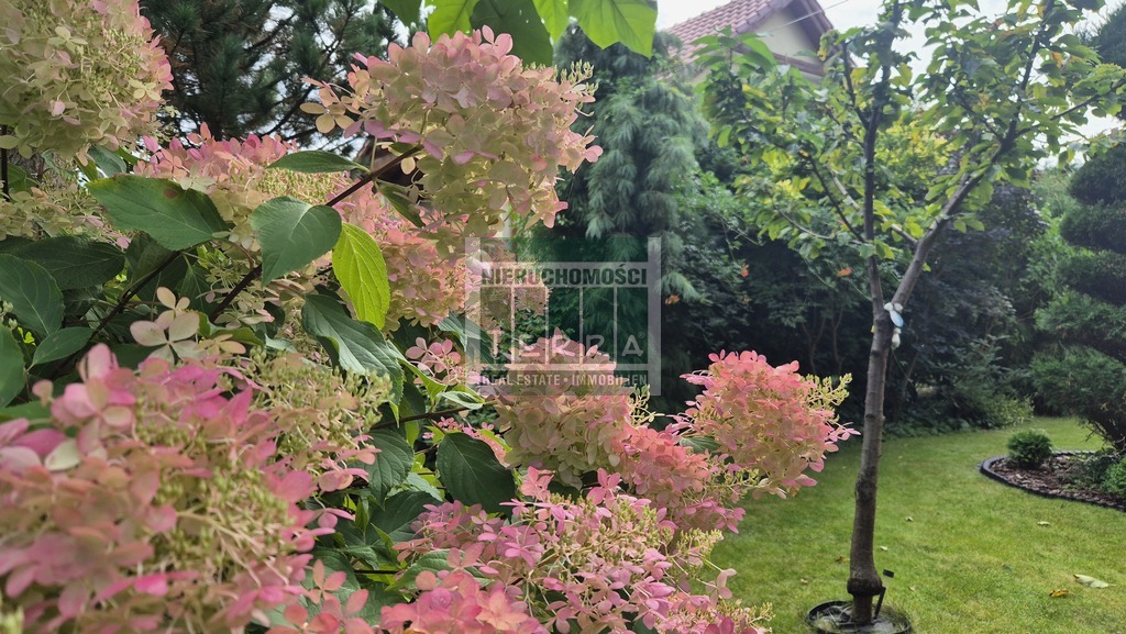 Uroczy dom na przedmieściach (13)