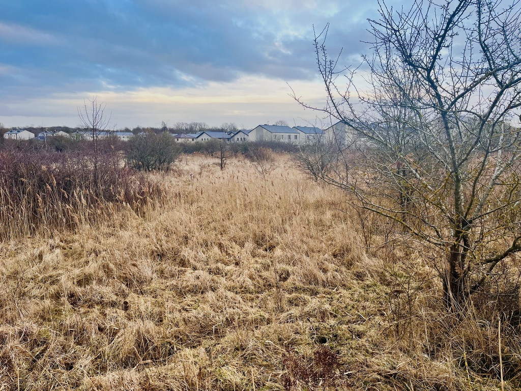 Działka w Bezrzeczu - wyjątkowe miejsce na dom (3)