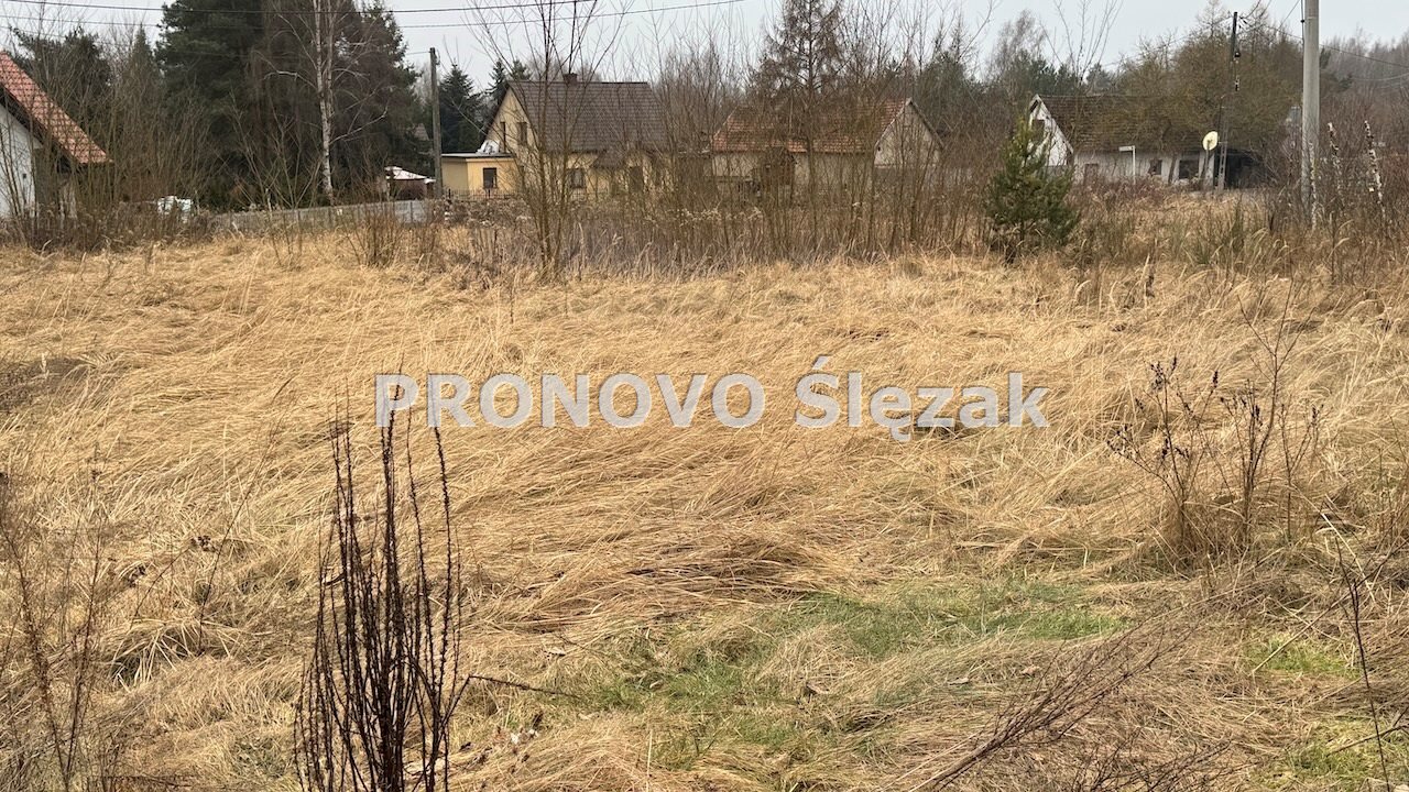 Sprzedam działkę budowlaną Nowosielce k.Obornik Śl (4)