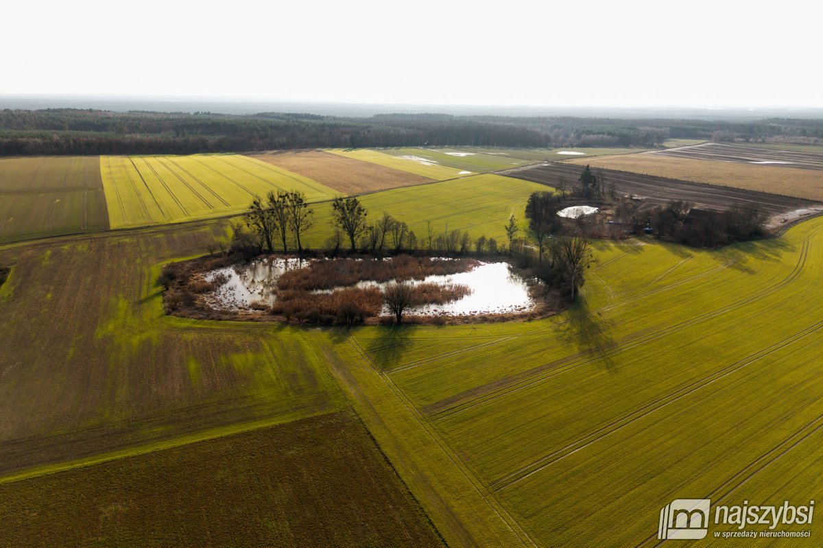 Boleszkowice- Działka rolna 1,9 ha ze stawem (11)
