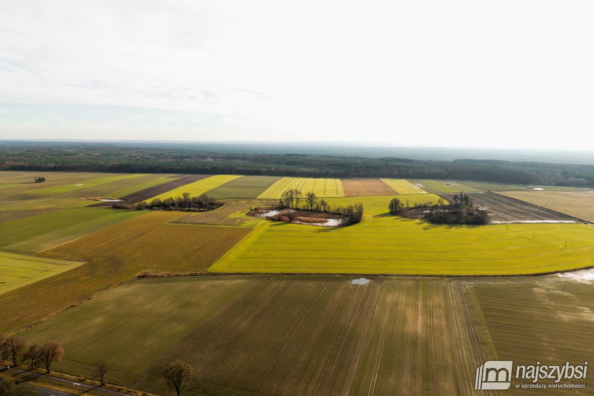Boleszkowice- Działka rolna 1,9 ha ze stawem (12)