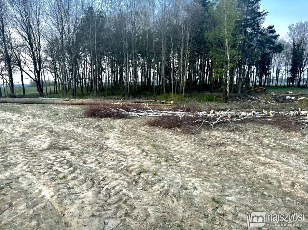 KOŁOBRZEG-działka budowlana przy lesie Charzyno (11)