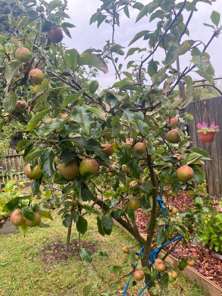 Dom w cenie mieszkania (12)