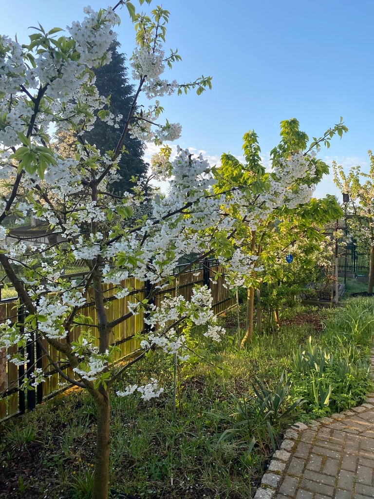 Dom w cenie mieszkania (15)