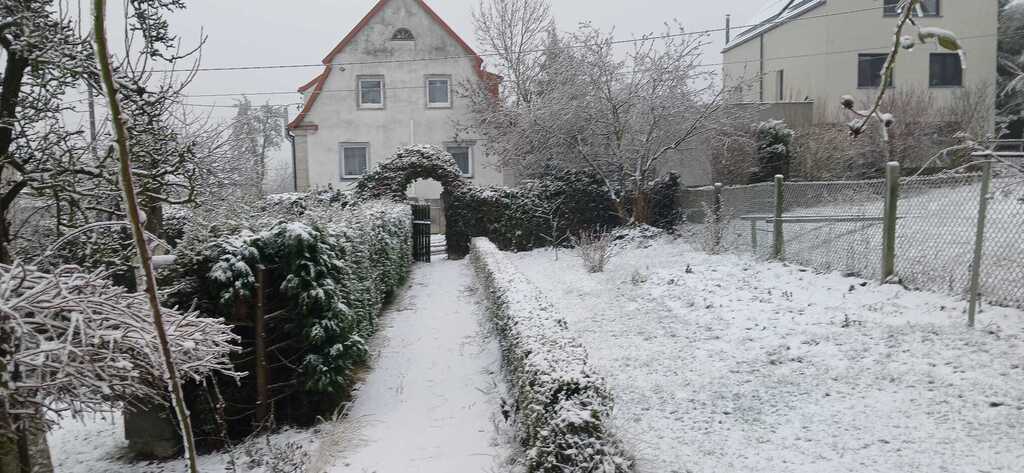 Kupujesz mieszkanie, mieszkasz w domu z ogrodem. (26)