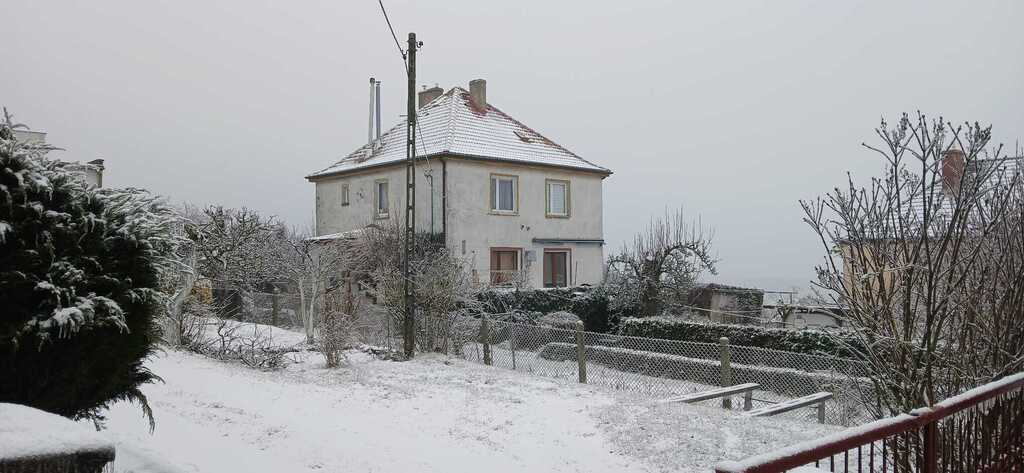 Kupujesz mieszkanie, mieszkasz w domu z ogrodem. (28)