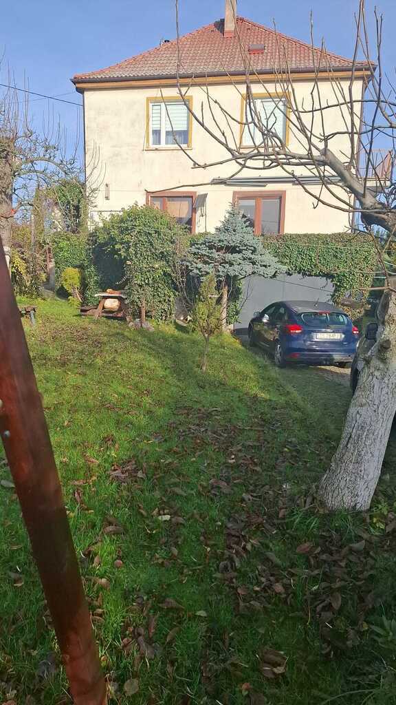 Kupujesz mieszkanie, mieszkasz w domu z ogrodem. (22)