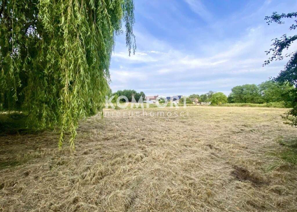 Enklawa spokoju i ciszy - harmonia natury (4)