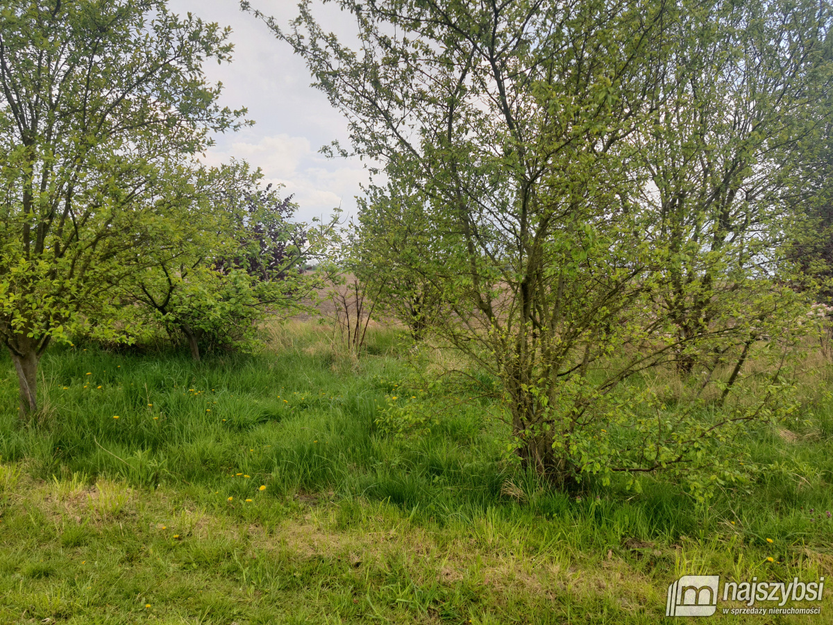 STARGARD  - 2 pokojowe  duże mieszkanie z działką  (7)