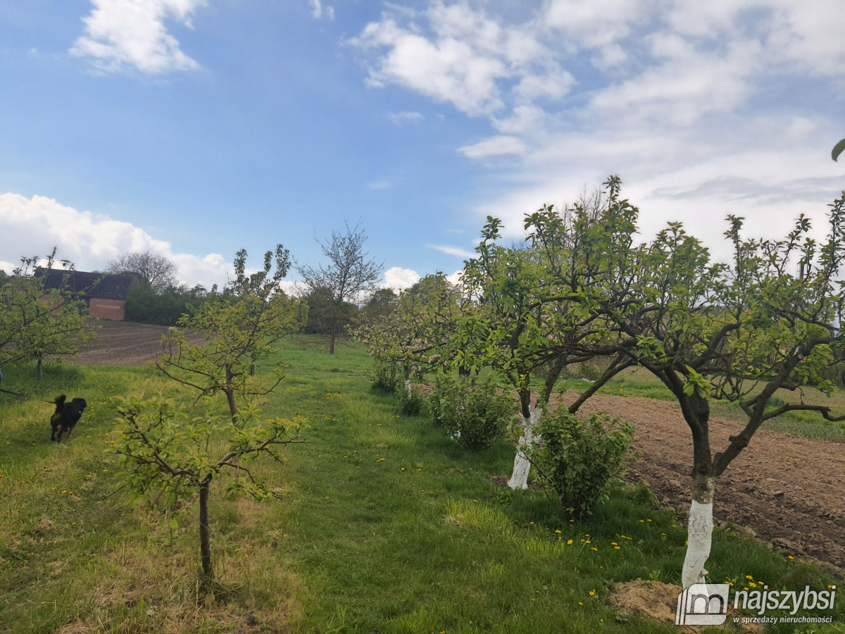 STARGARD  - 2 pokojowe  duże mieszkanie z działką  (8)