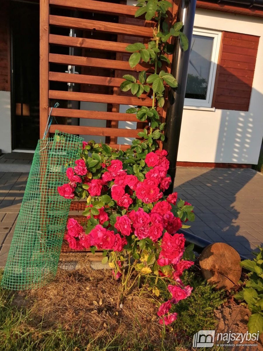 Gostyń - działka z domkiem całorocznym blisko morz (13)