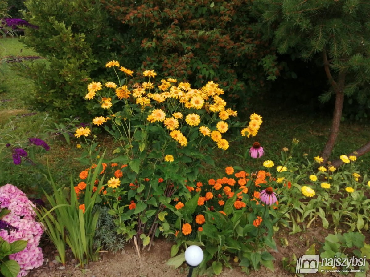 Gostyń - działka z domkiem całorocznym blisko morz (15)