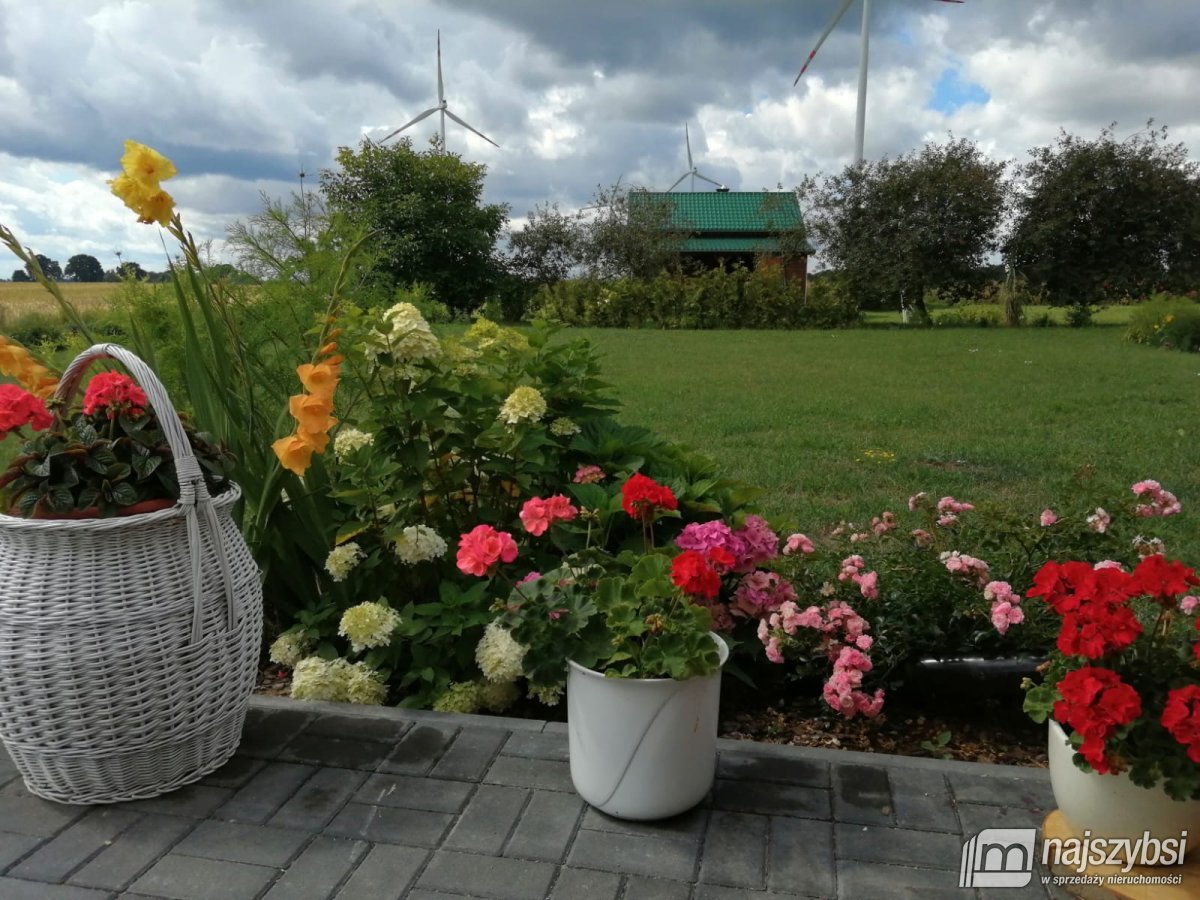 Gostyń - działka z domkiem całorocznym blisko morz (16)