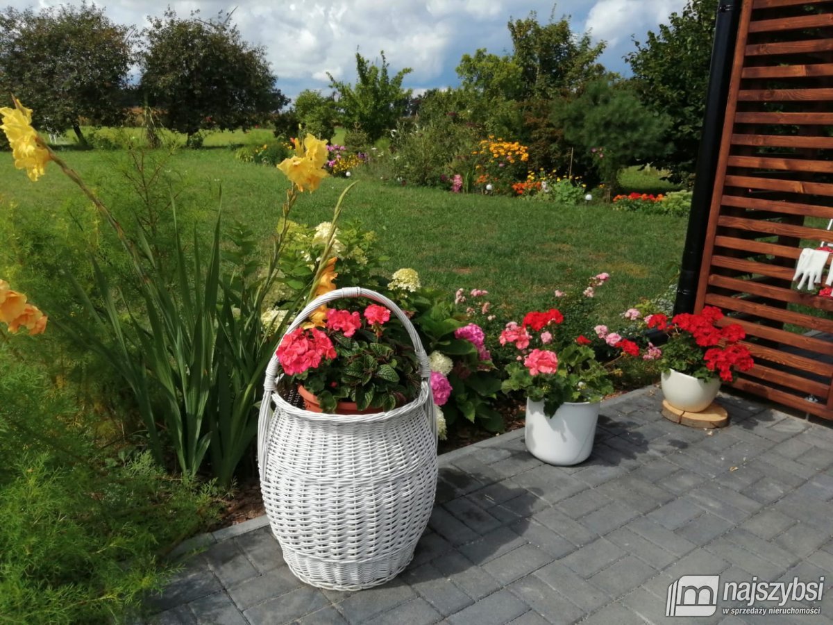 Gostyń - działka z domkiem całorocznym blisko morz (17)