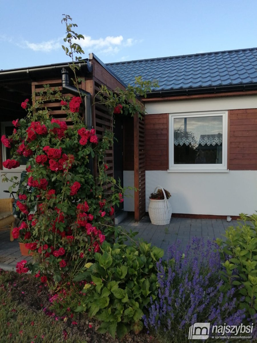 Gostyń - działka z domkiem całorocznym blisko morz (3)