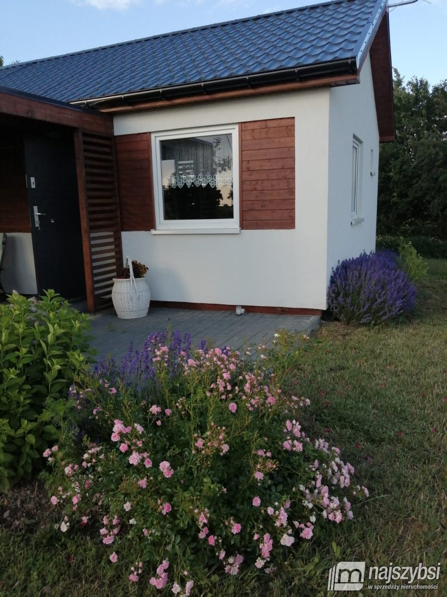 Gostyń - działka z domkiem całorocznym blisko morz (4)