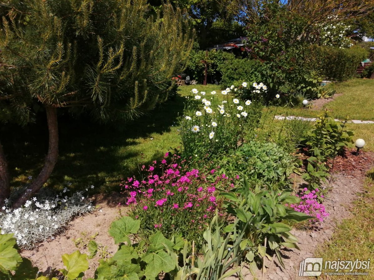 Gostyń - działka z domkiem całorocznym blisko morz (9)