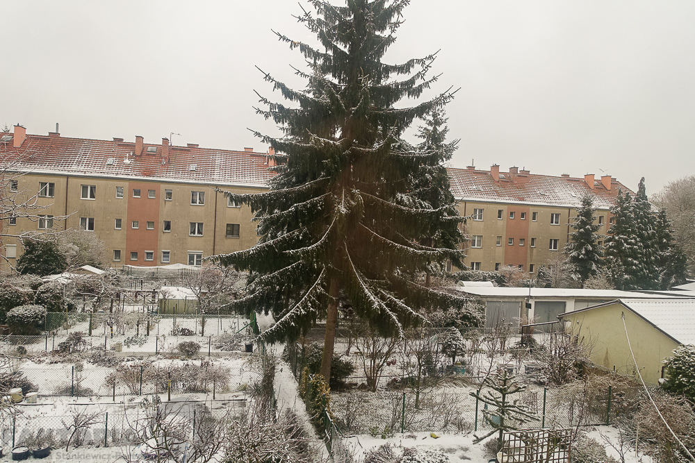 Pogodno 3 pokoje, I p. 2600+470+gaz+en. el. (15)