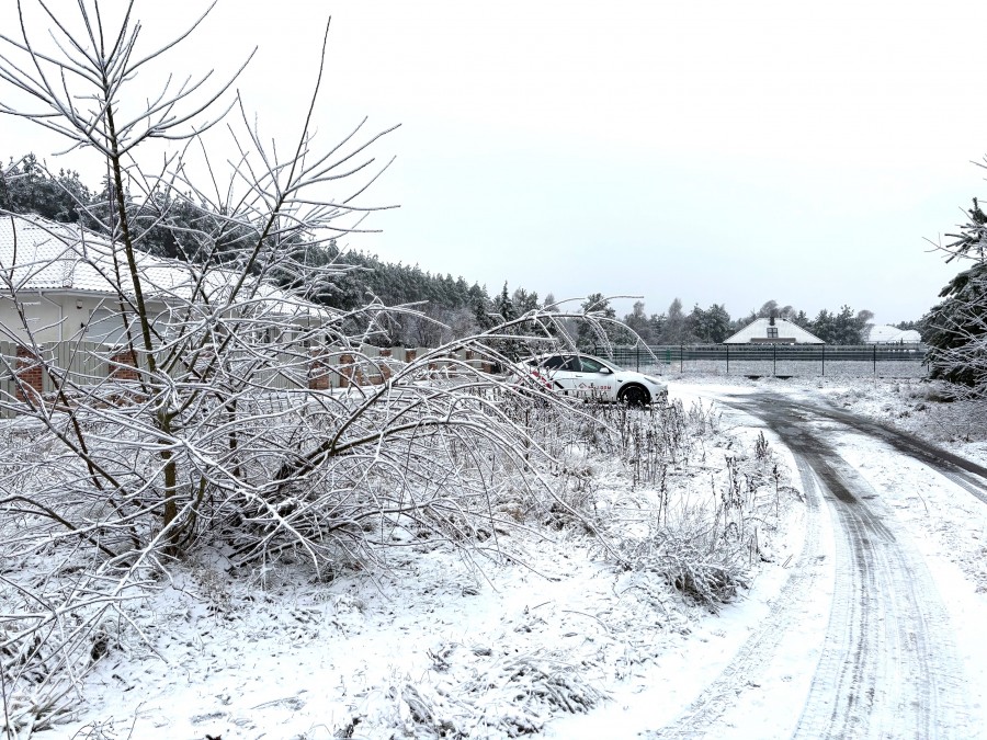 DZIAŁKA POD LASEM Z MEDIAMI (1)