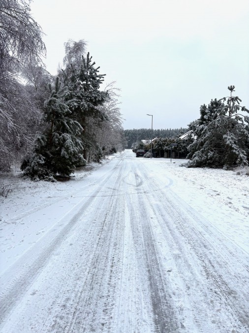 DZIAŁKA POD LASEM Z MEDIAMI (3)