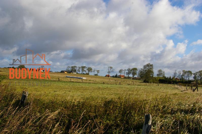 Działka budowlana - Cisowo  (6)