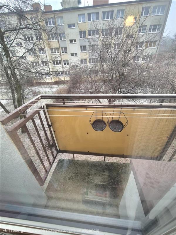 Mieszkanie - Koszalin  (12)