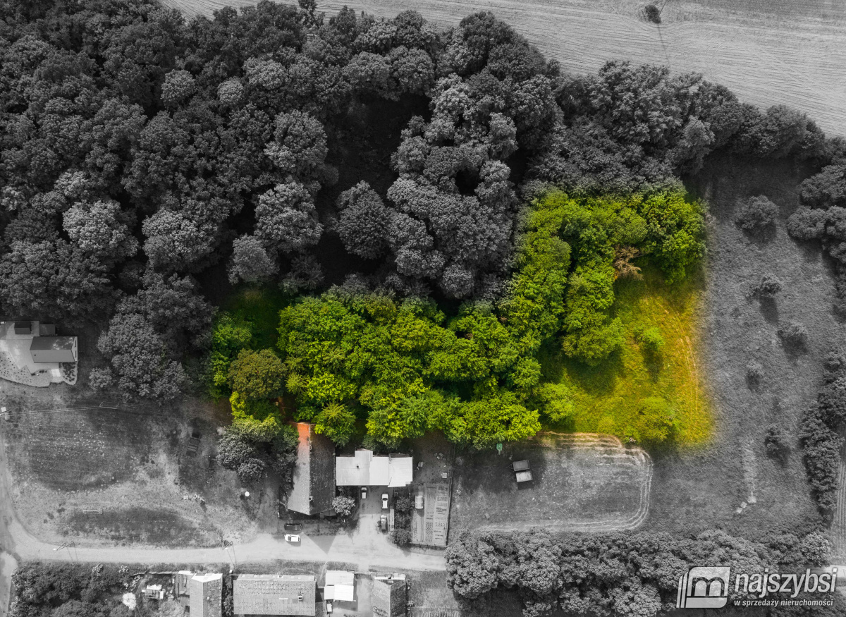 DOBRZANY - obrzeża, skrajny szeregowiec  (24)