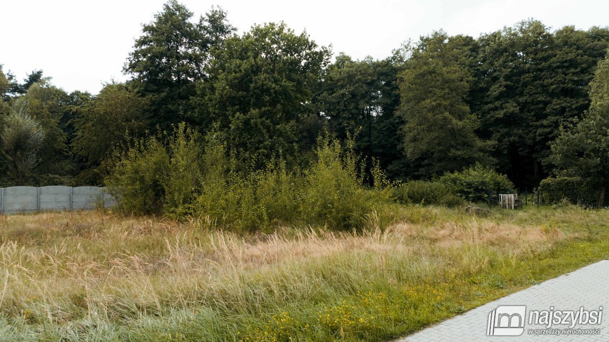 Drawno - Skrajna działka budowlana pod lasem (2)
