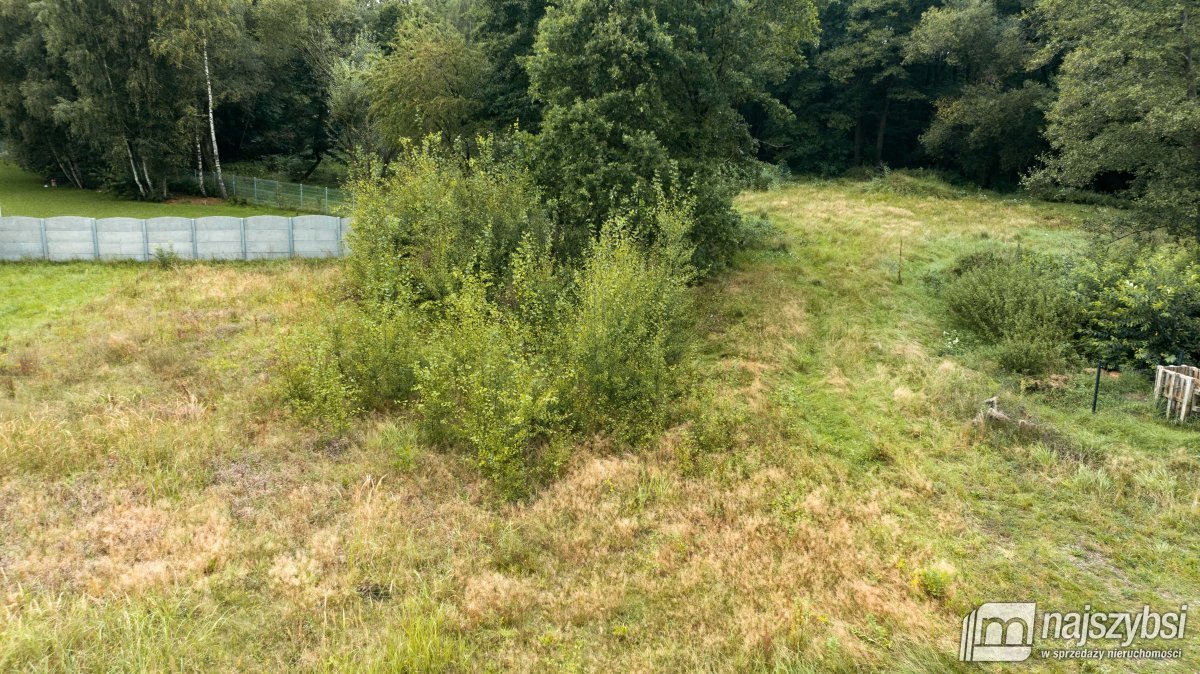 Drawno - Skrajna działka budowlana pod lasem (3)