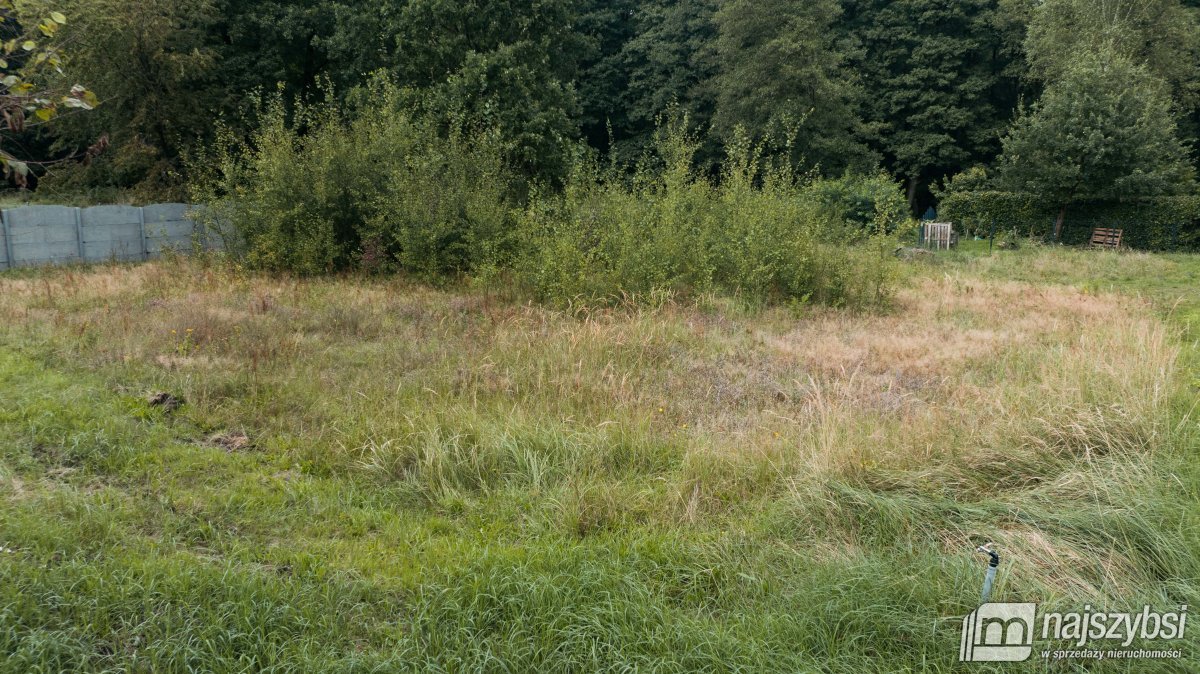 Drawno - Skrajna działka budowlana pod lasem (6)