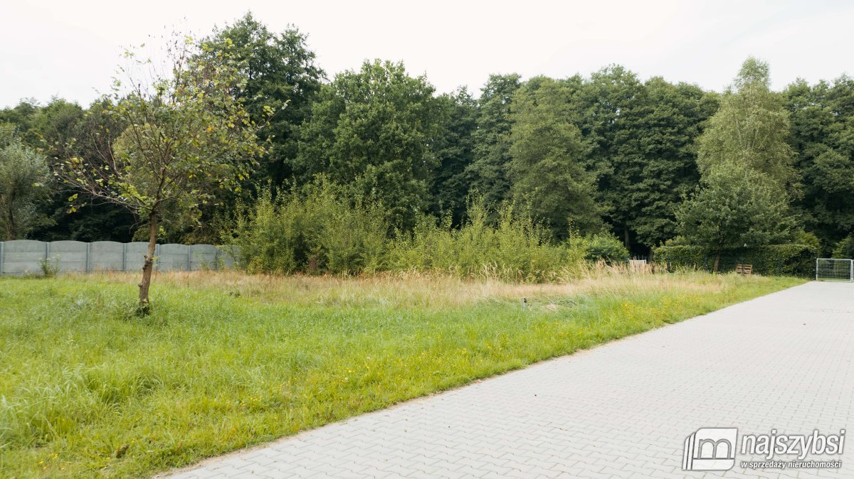 Drawno - Skrajna działka budowlana pod lasem (8)