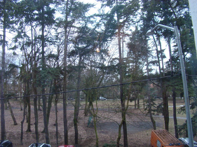 Pogodno 2 pok. 55 m2, Ip. widok na park (21)