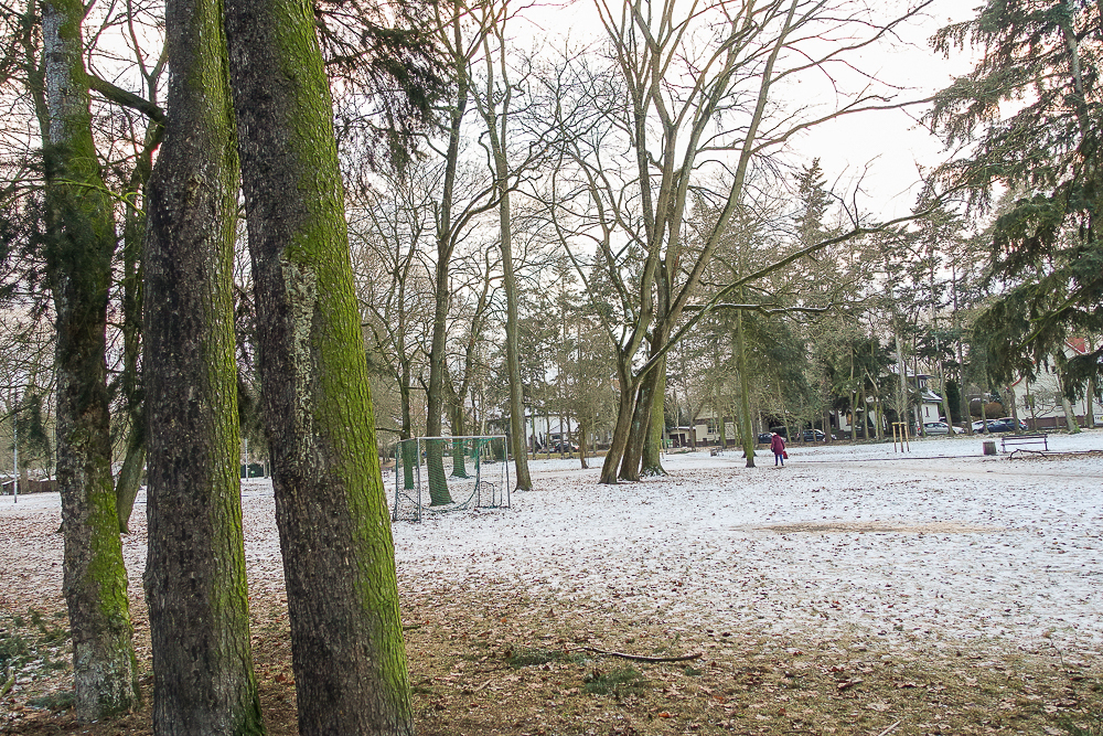 Pogodno 2 pok. 55 m2, Ip. widok na park (15)