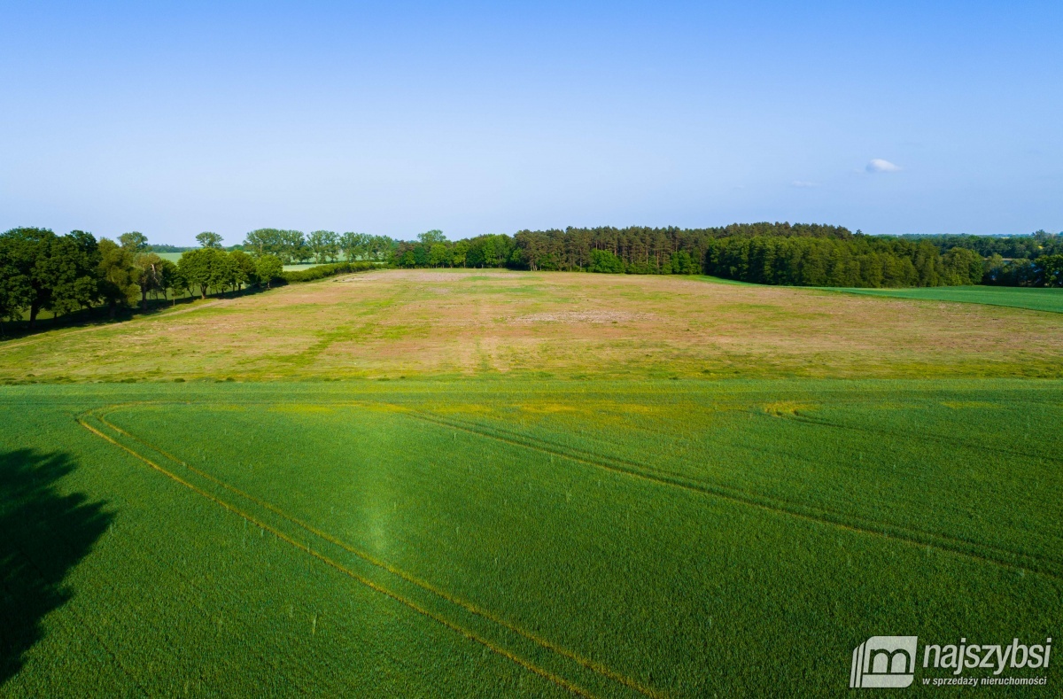 Kompleks działek nad jeziorem / miejscowy plan (18)
