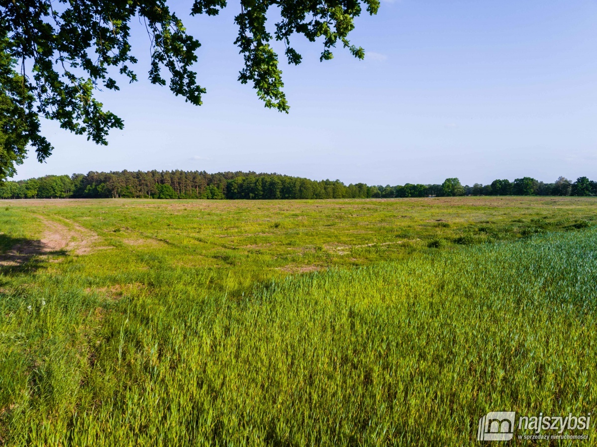 Kompleks działek nad jeziorem / miejscowy plan (20)